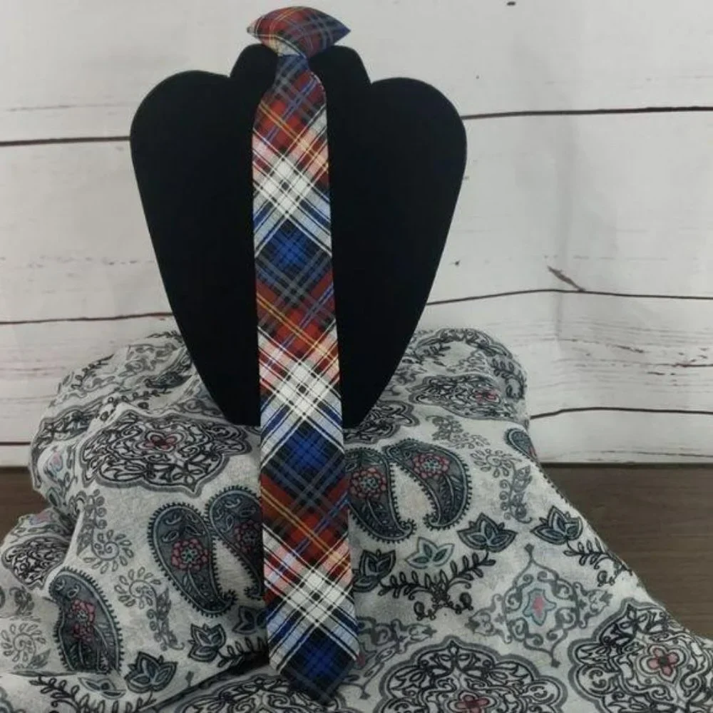Red and Blue‎ Paid Boy’s Clip on tie